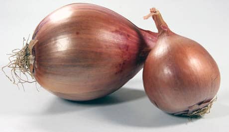 two dry onions